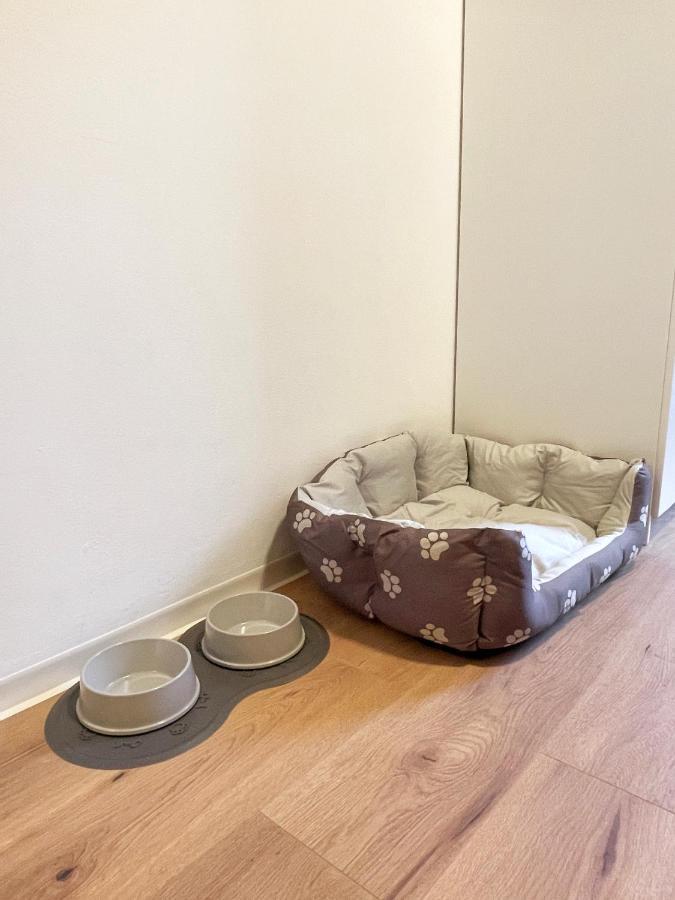 Apartment Moderne In